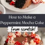 A slice of peppermint mocha cake on a small plate, and the chocolate frosted cake on a cake stand.