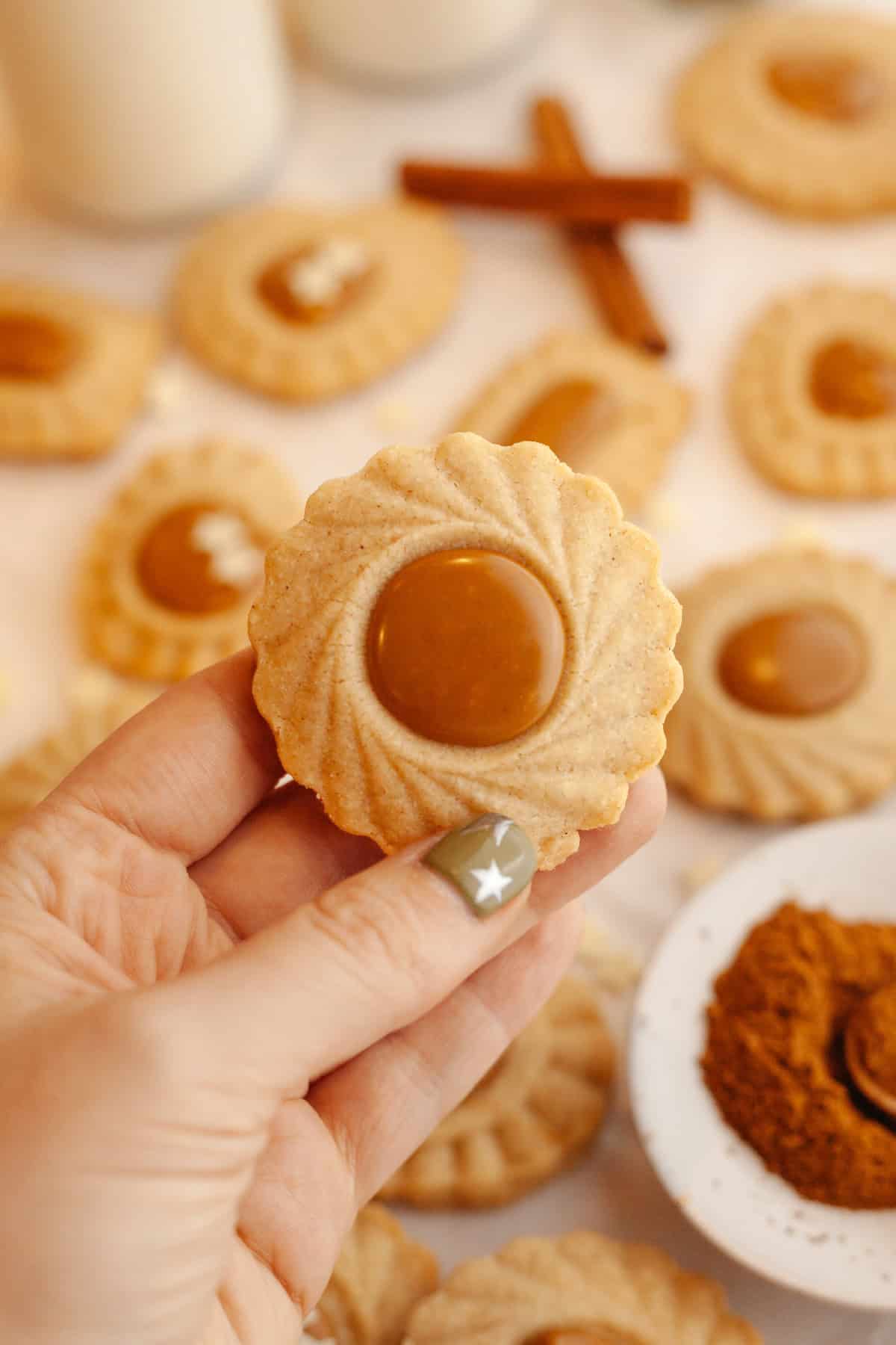 A hand holding a cinnamon cookie with a Biscoff middle.