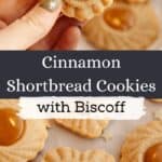 Cinnamon shortbread cookies that have a Biscoff middle and a hand holding one cookie.