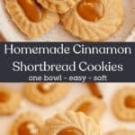 A small plate with cinnamon shortbread cookies that have a Biscoff middle and a hand holding one cookie.