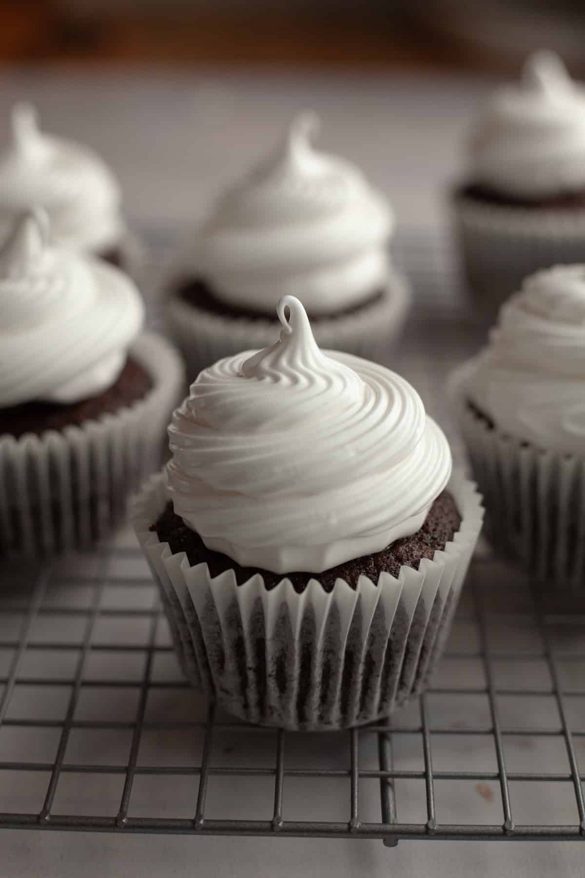 Chocolate cupcakes with white frosting.