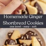 A close up of ginger shortbread cookies, half dipped in chocolate. A hand holding one of the cookies.