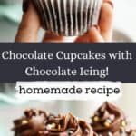 Chocolate cupcakes with chocolate frosting and rainbow sprinkles on a small plate, and a hand holding one cupcake.