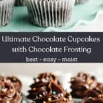 Chocolate cupcakes with chocolate frosting and rainbow sprinkles on a teal cake stand.