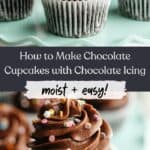 Chocolate cupcakes with chocolate frosting and rainbow sprinkles on a teal cake stand, and a hand holding one cupcake.