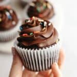 A hand holding a chocolate cupcake with chocolate frosting and rainbow sprinkles.