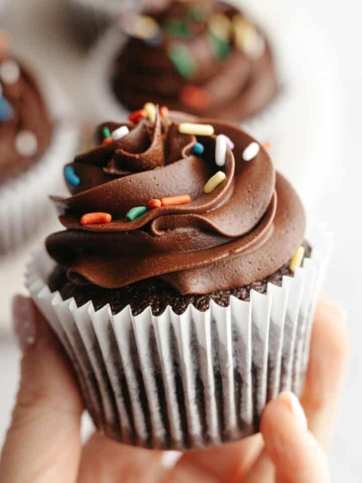 A hand holding a chocolate cupcake with chocolate frosting and rainbow sprinkles.
