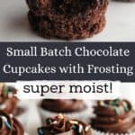 Chocolate cupcakes with chocolate frosting and rainbow sprinkles. One has a bite taken out of it.