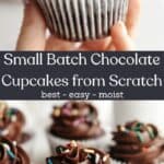 Chocolate cupcakes with chocolate frosting and rainbow sprinkles, a hand is holding one cupcake.