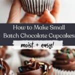 Chocolate cupcakes with chocolate frosting and rainbow sprinkles, a hand is holding one cupcake.