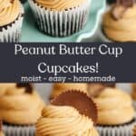 Chocolate cupcakes frosted with peanut butter frosting and topped with Reese's peanut butter cups.