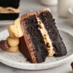 A slice of peanut butter chocolate cake on a small plate.