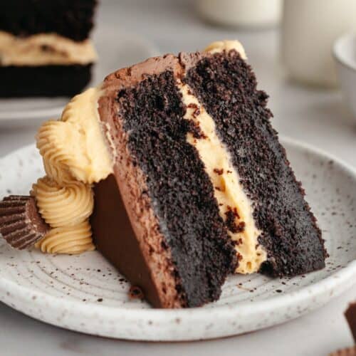 A slice of peanut butter chocolate cake on a small plate.