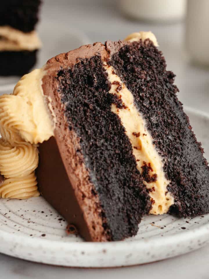 A slice of peanut butter chocolate cake on a small plate.