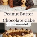A slice of peanut butter chocolate cake on a small plate and a peanut butter chocolate cake on a white cake stand.