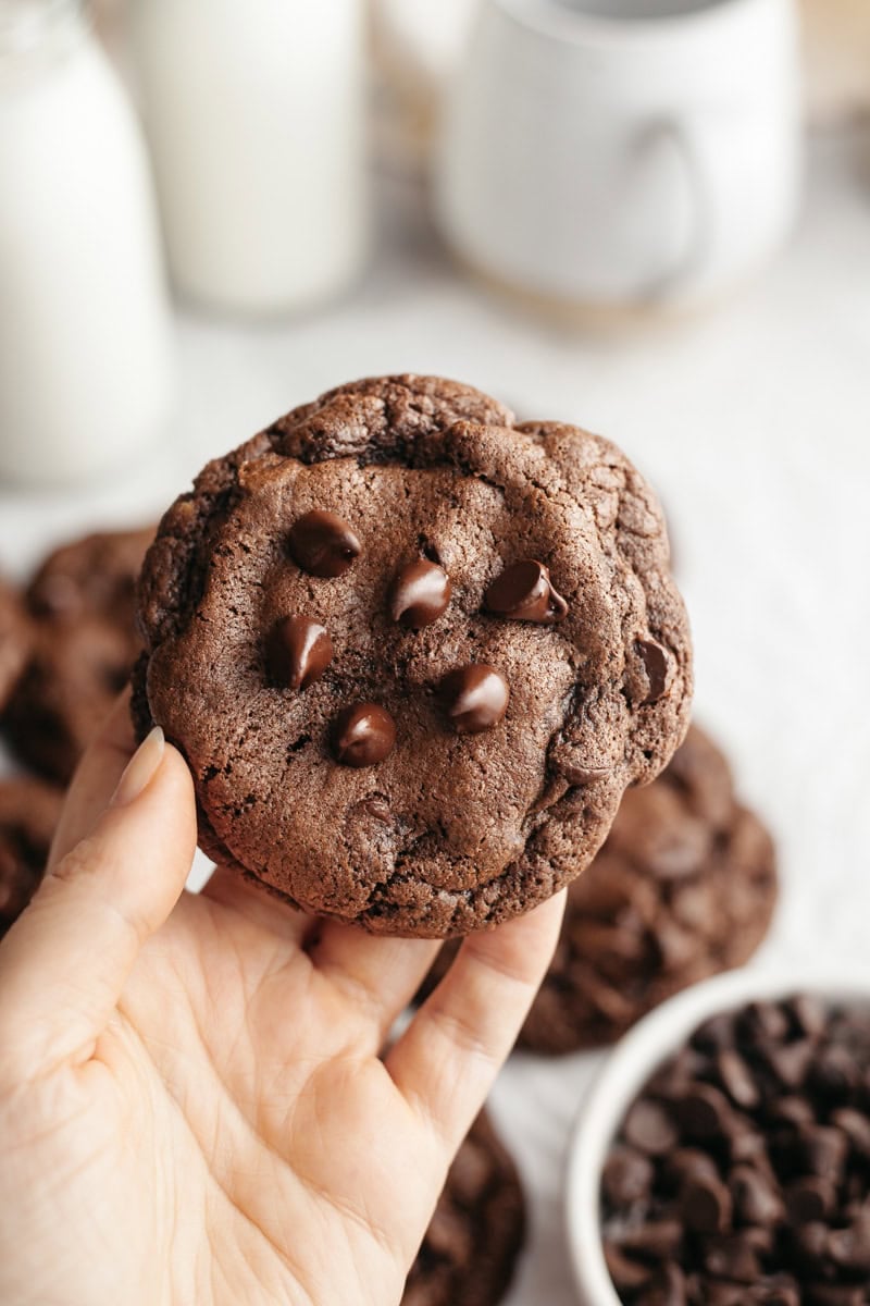 A hand holding a double chocolate cookie.